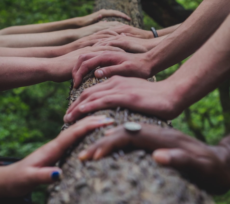 Hands on log ceremony
